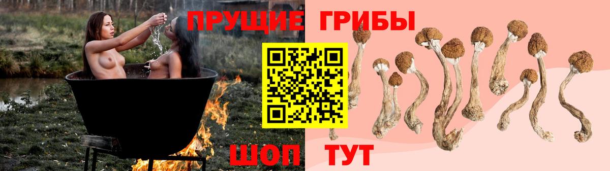 Хабаровск  Псилоцибиновые грибы Magic Shrooms  Галлюциногенные грибы мухоморы  Вход с VPN 